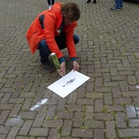 afbeelding